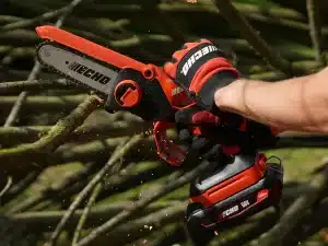 DHS-3006